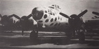 42-3441 SPOTTED COW