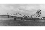 42-3441 SPOTTED COW