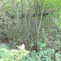 P1020079.JPG
