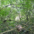 P1020080.JPG