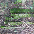P1020092.JPG