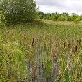 P1020096.JPG