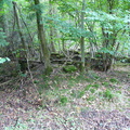 P1020099.JPG
