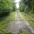 P1020101.JPG
