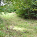 P1020104.JPG