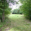 P1020105.JPG