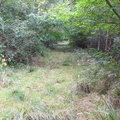 P1020109.JPG
