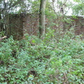 P1020114.JPG