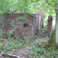 P1020115.JPG
