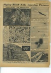 wwii_combined-p32-1.JPG