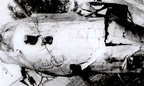 Nose art on recovered wreck