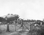 42-29651, Stella