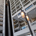 P1000040.JPG