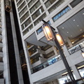 P1000041.JPG
