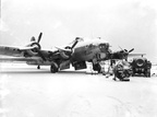 43-37917, Pauline in Snow