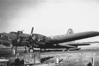 42-5843 BLACK GHOST