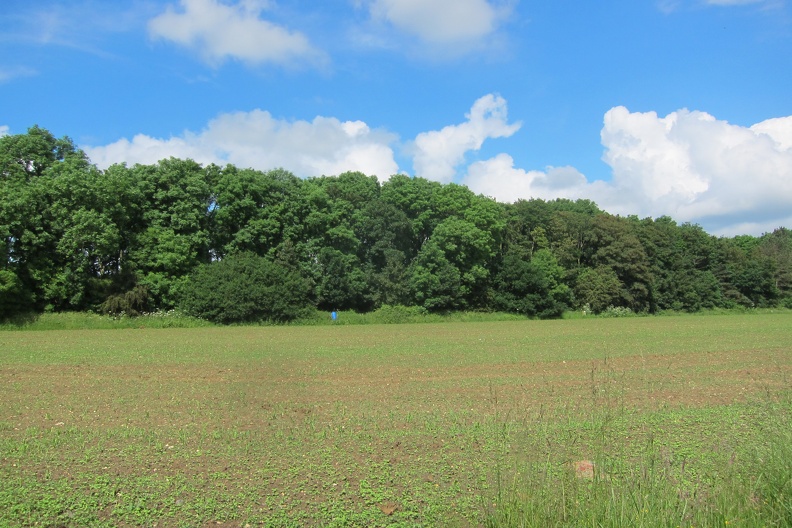 img_6805   this large mound of earth is at the west end of the