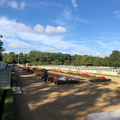 Madingley -- overview