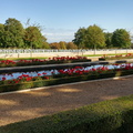 View Over the Graves