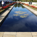 Reflecting Pool and Flagpole