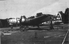 43-37703 TREMBLIN GREMLIN