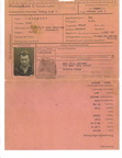 POW Identification Card