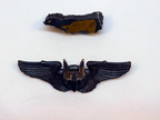 CREWMAN WINGS AND SCHRAPNEL