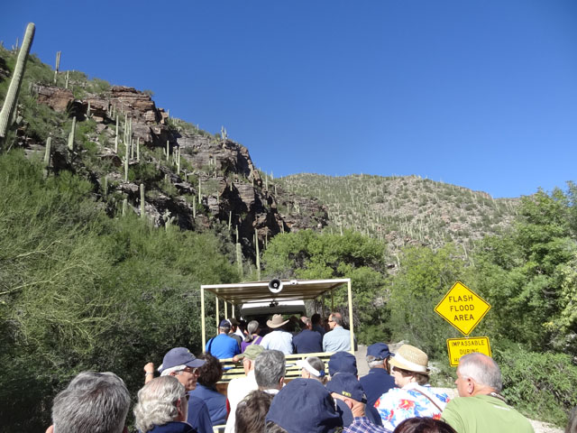 Sabino Canyon, Going Up